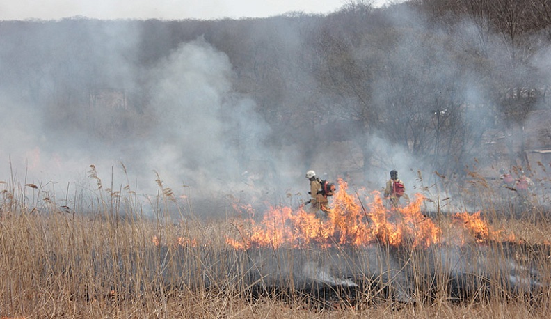 Одним - мясо, другим – дым