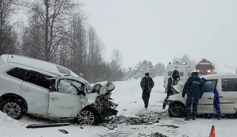 В массовой аварии на Киевском шоссе около Думиничей погиб один из водителей