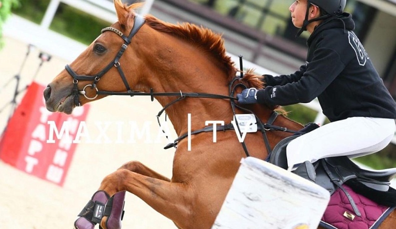 Медальный комплект Всероссийского «Кубка Победы» по конкуру завоевали калужанки