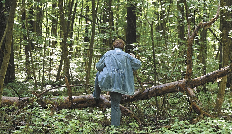 Эффект лешего