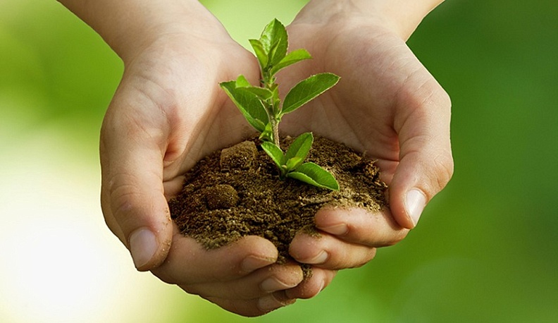 Росатом вошел в пятерку самых экологичных российских предприятий по версии Forbes