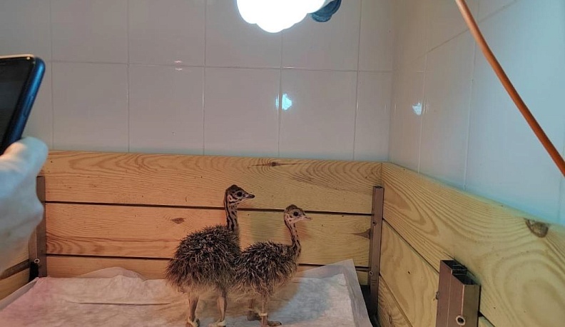 Не фантастика, а реальность