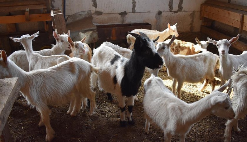 Счастливый человек