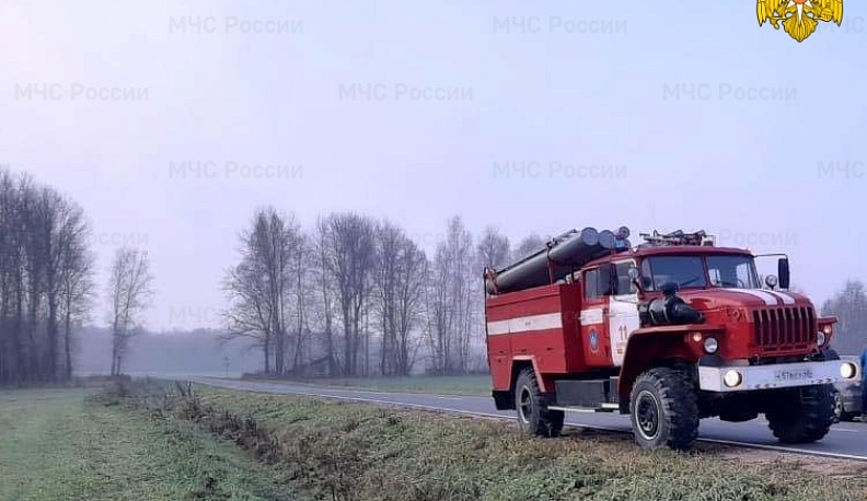 В Калужской области машина сбила косулю