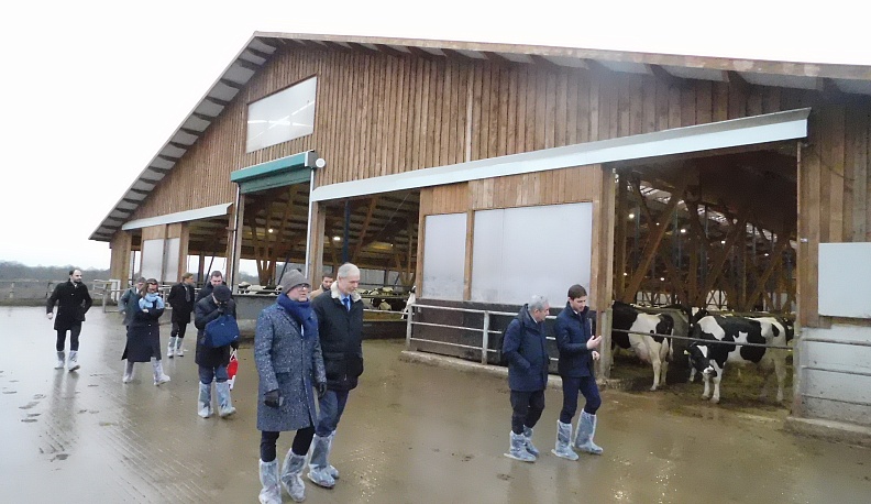 Уголок Швейцарии