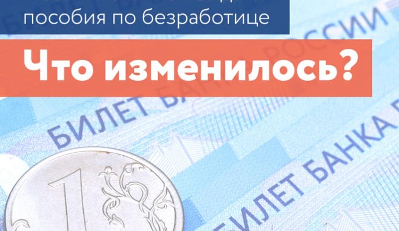Оформить пособие по безработице теперь можно дистанционно