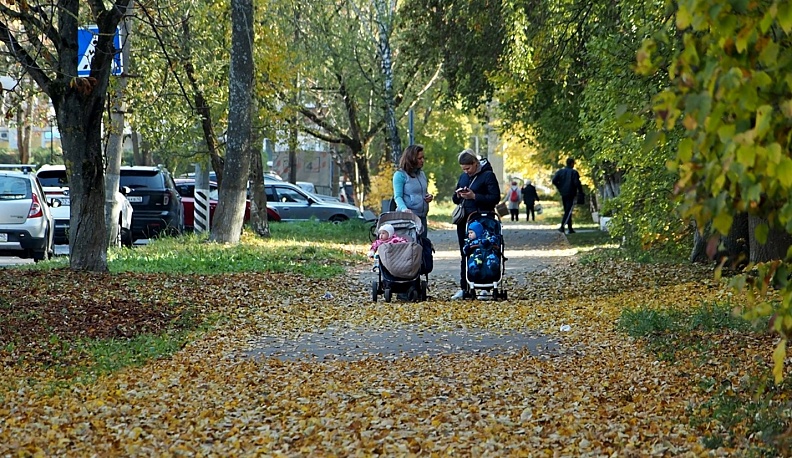 Самый зелёный город региона