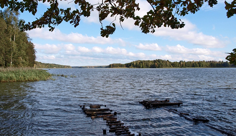 В Калуге расскажут о состоянии озера Ломпадь после реабилитации
