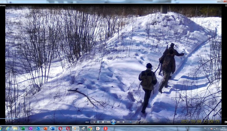 Три браконьера попали в фотоловушку калужского заповедника