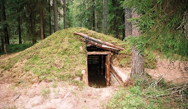 «Мозг» в 150 га