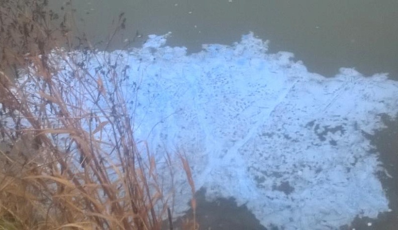 Пока экологи отдыхают, в Калуге покрасили водохранилище