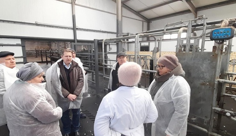 В Жуковском районе прошел День молока