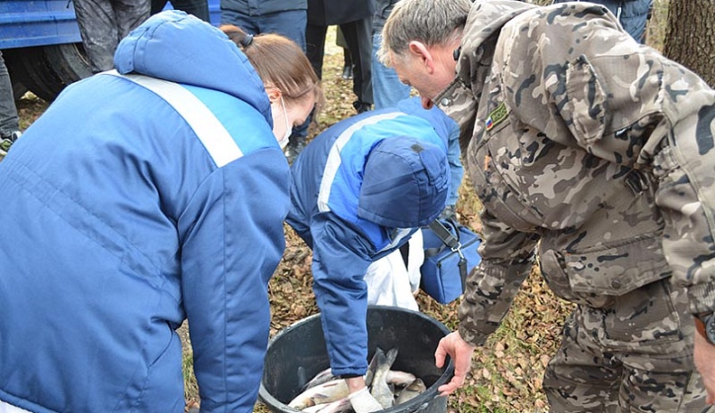 В озеро Ломпадь в Людинове выпустили более 30 тысяч мальков рыбы