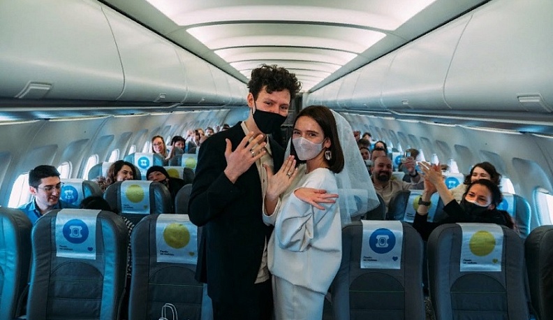 КГВ-Инфо: От бродячих животных до фитостен