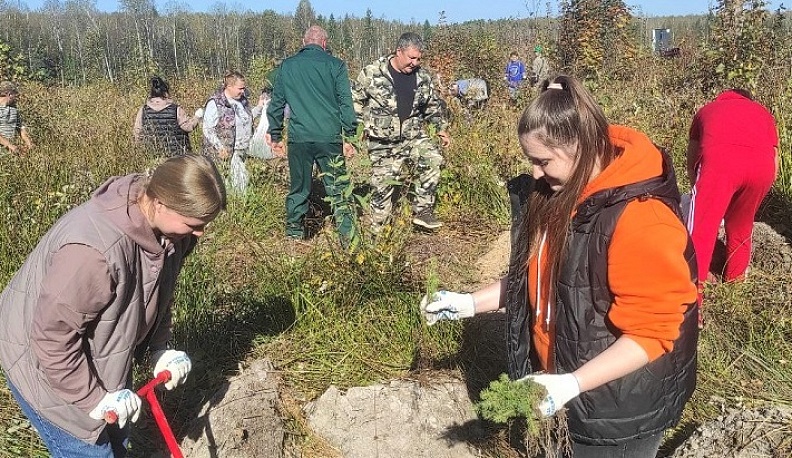 В Думиничском районе волонтёры высадили около семи тысяч елей 