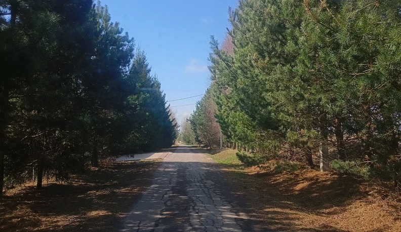 В Калуге 28 июня воздух прогреется до +30 градусов