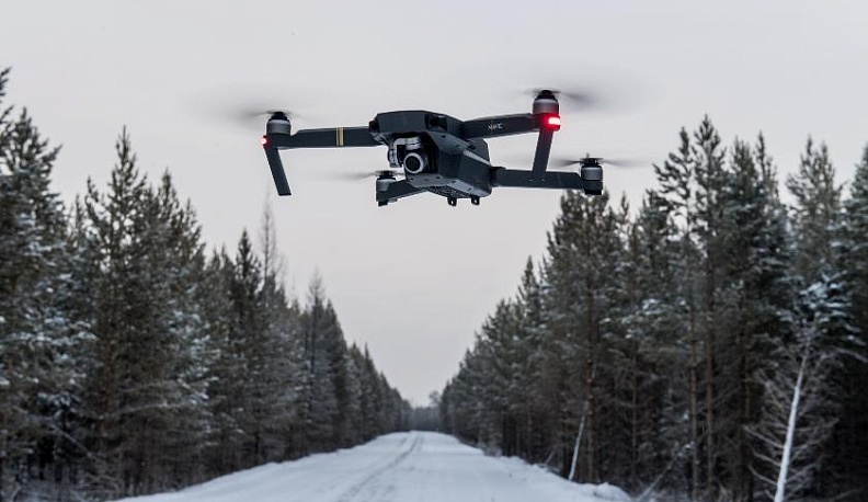 В Калужской области елочных браконьеров  будут ловить с квадрокоптерами