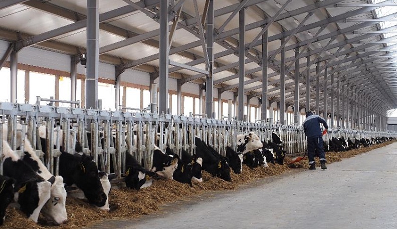 Растут молочные активы