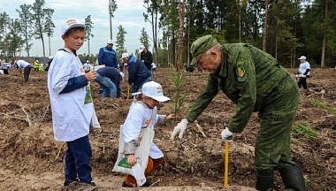 51,6 млн руб в 2026 году направят на сохранение лесов в Калужской области