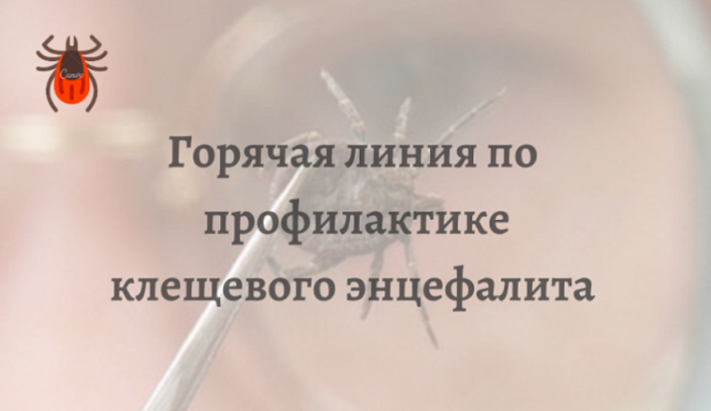 В Калужской области открылась "горячая линия" по профилактике клещевого энцефалита