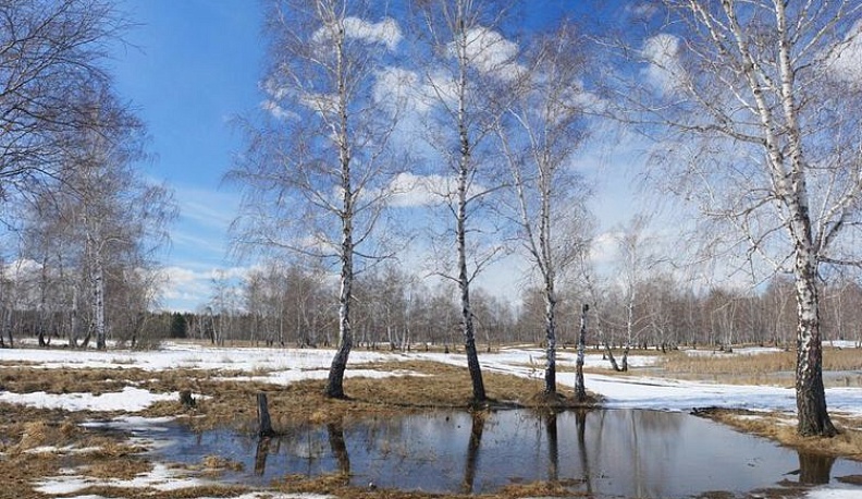 В Калужской области синоптики прогнозируют потепление до +10