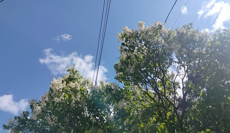 В Калуге становится теплее 