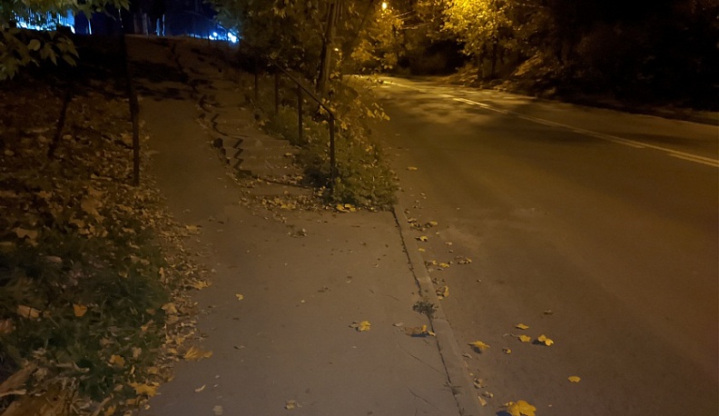 В Калуге насильника испугала стая собак