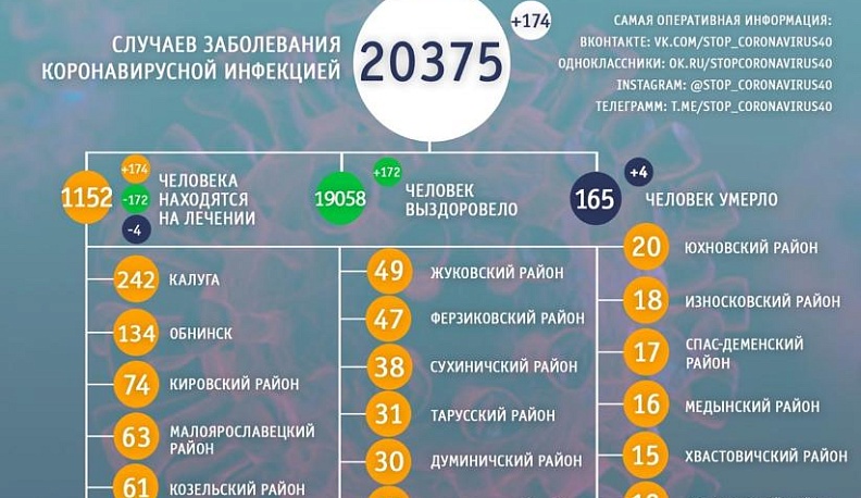 В Калужской области еще четыре человека скончались от последствий коронавируса