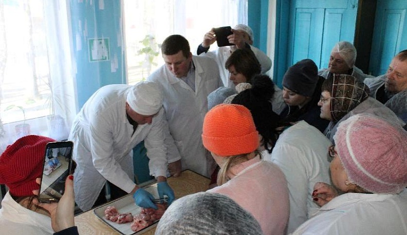 Ветеринары повышают квалификацию