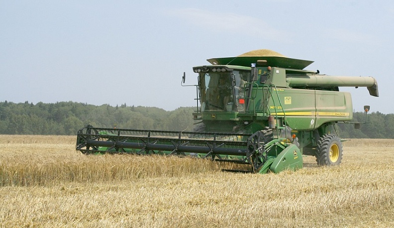 В Калужской области стартовала жатва озимых зерновых