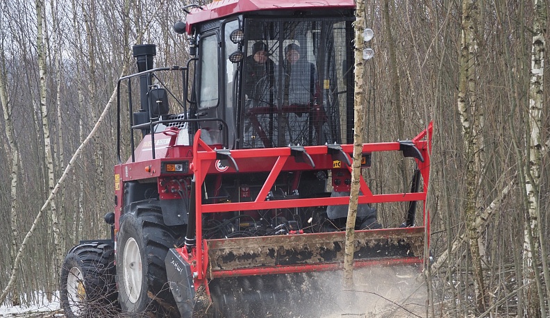 Ну, заросли, погодите!