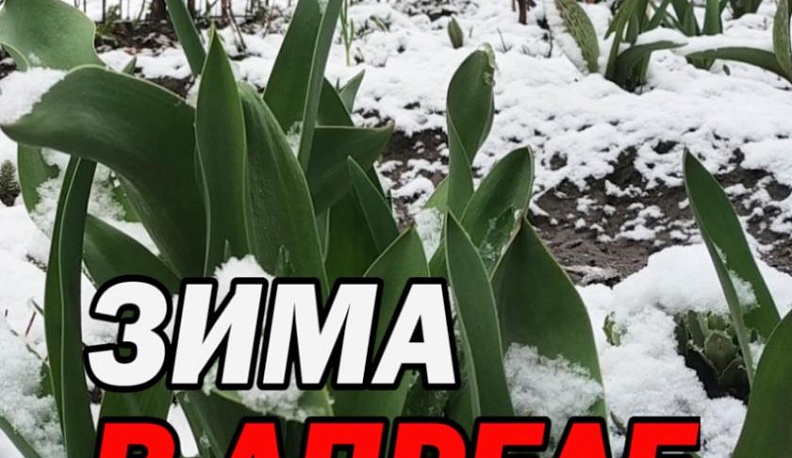 В апреле в Калугу вернулась зима. Видео