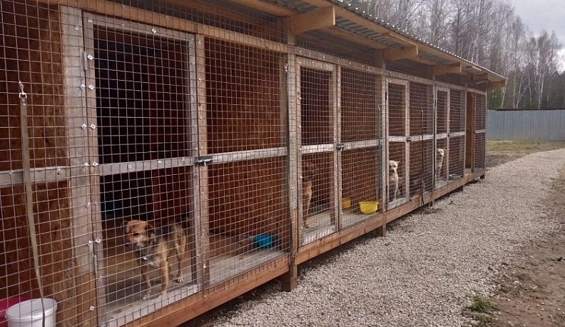 В Людинове открылся первый в области муниципальный пункт передержки животных