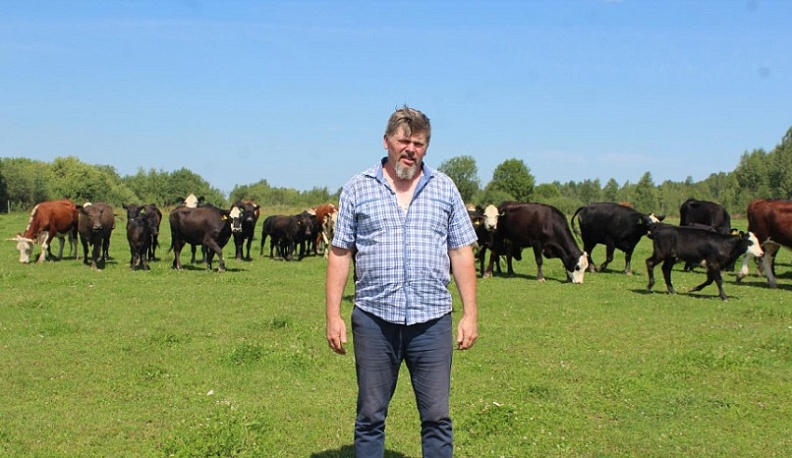 В Медынском районе успешно разводят коров мясных пород