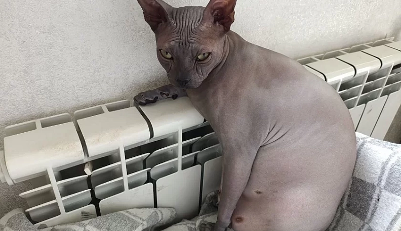 Ремонтные работы котельной на улице Вооруженного восстания завершаются в Калуге