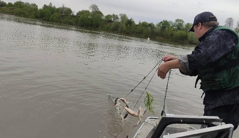 Рыбаки-«сетевики» и другие проблемы реки