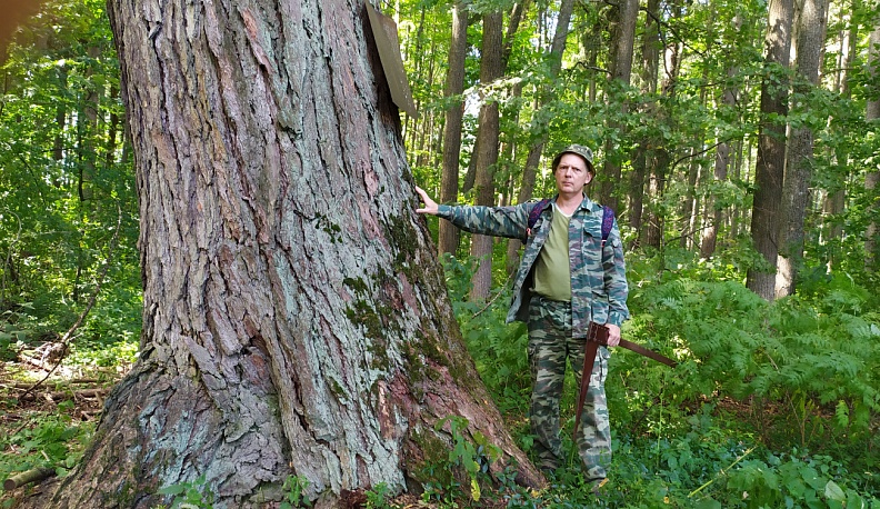 ПО СТРАНИЦАМ ЗЕЛЁНОЙ КНИГИ