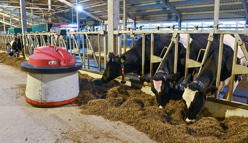 Первая в районе роботизированная ферма