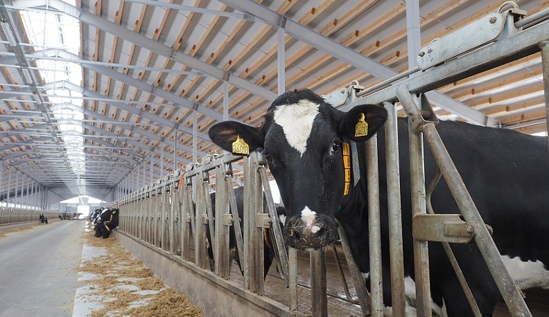 Компания Русский сыр расширяет свое представительство в Калужской области