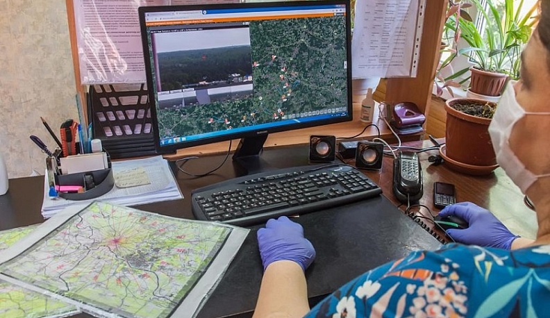 Около 7,5 миллионов деревьев высадили в Калужской области в прошлом году