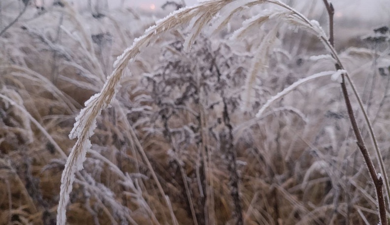 В Калуге продолжают держаться сильные морозы
