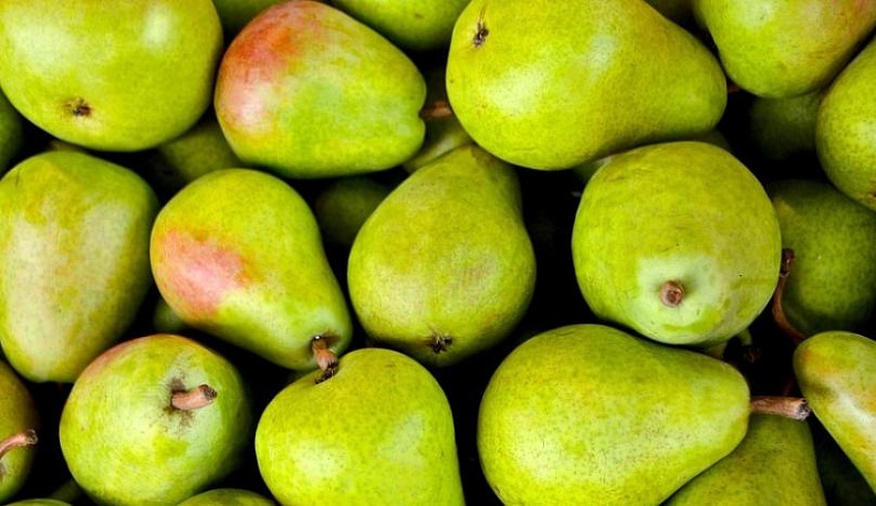 80 тонн яблок и груш отправили под бульдозер