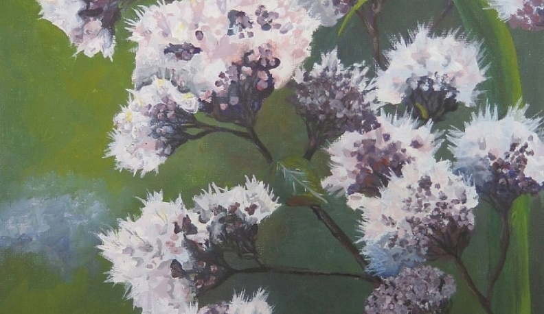 Студентки из Калуги победили во Всероссийском конкурсе «Арт-Ботаника»