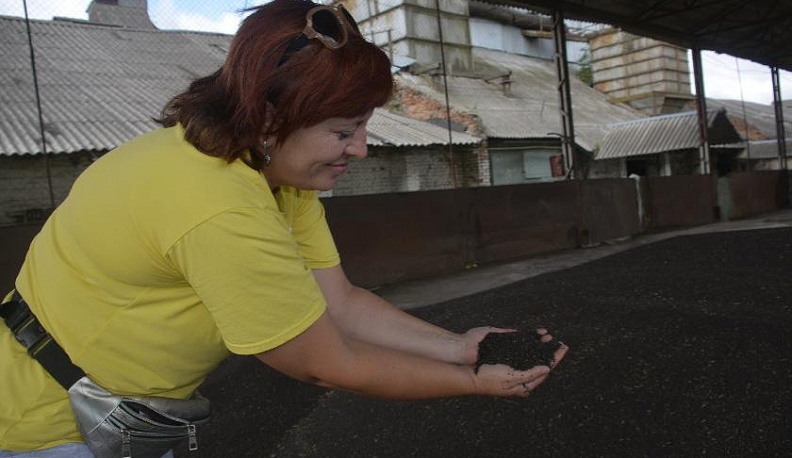 «Чёрное золото»