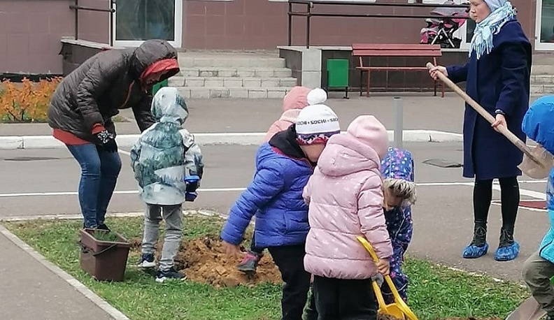 В обнинских школах и детсадах высаживают сибирские кедры и черешчатые дубы