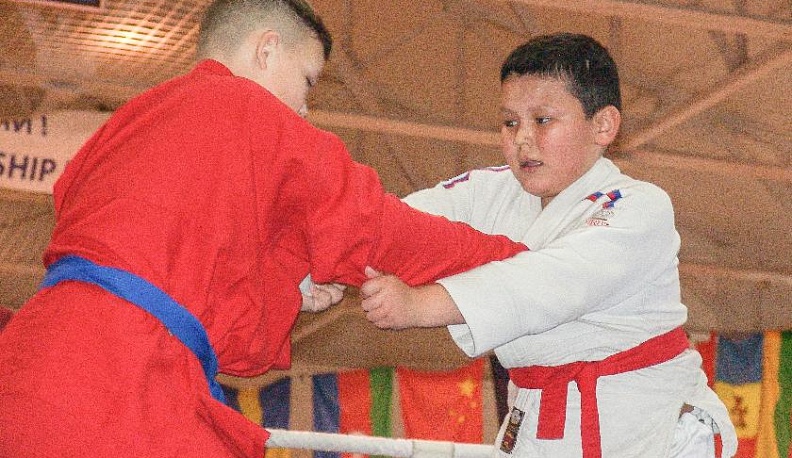 В Медыни прошёл чемпионат по универсальному бою