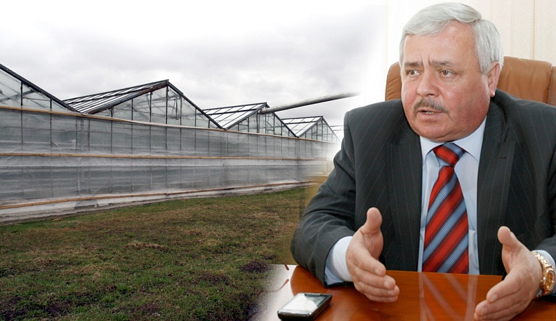 Тёплая память