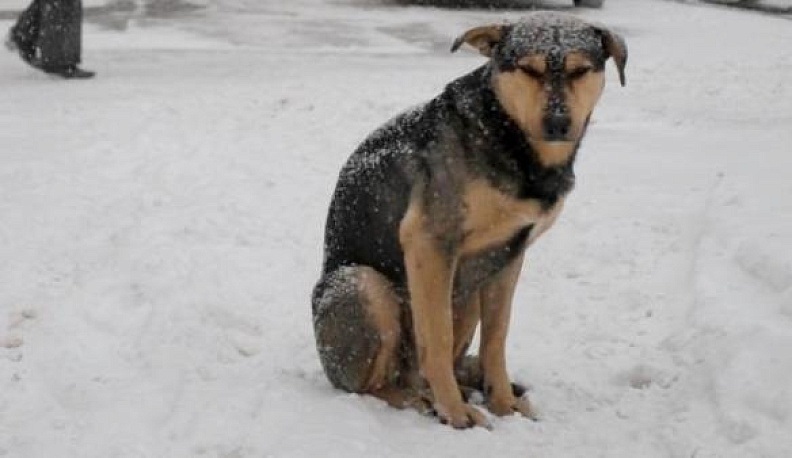 Гуляй себе с богом?