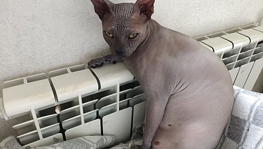 Вложения в модернизацию коммунальной инфраструктуры Калужской области доказали свою результативность