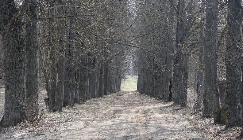 Зелень - не бронза